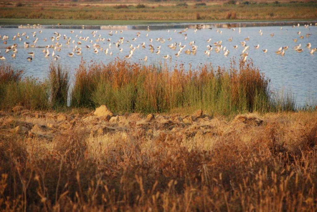 Salgados - Vila Das Lagoas Guia  Zewnętrze zdjęcie